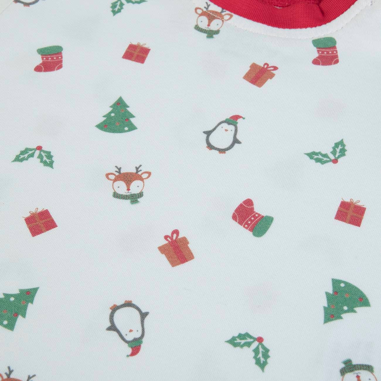 Christmas Long Sleeve Top & Pants